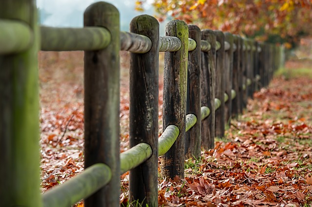 Good fences may make good neighbors